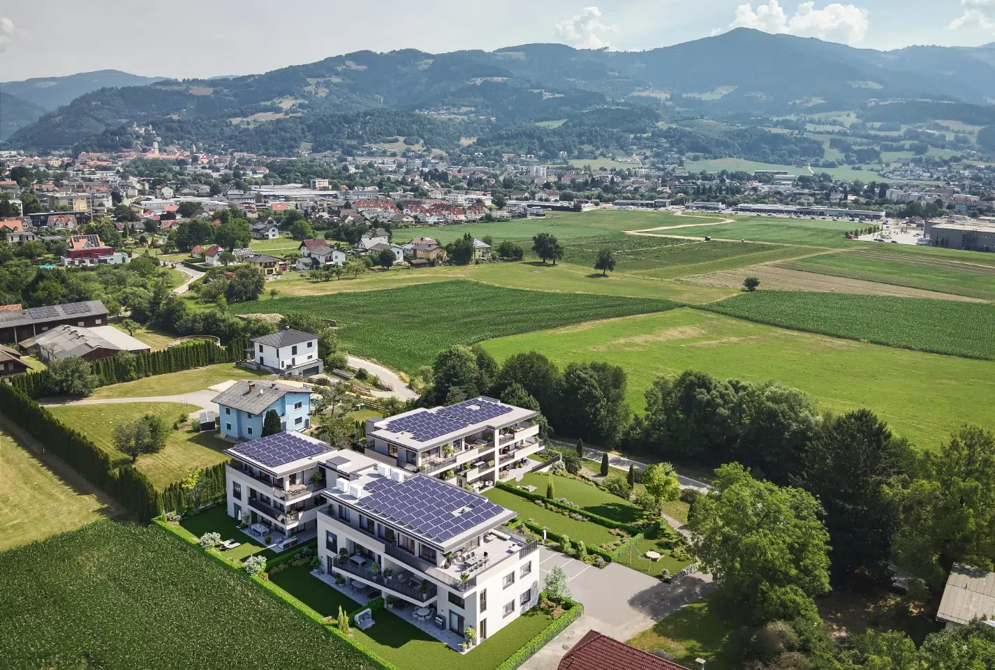 Projekt Rikliweg